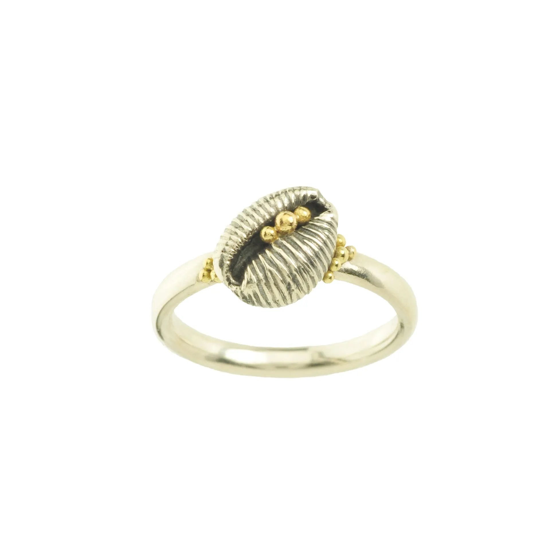 Cowrie Ring, Oxidised Silver (with 18ct Gold grains)