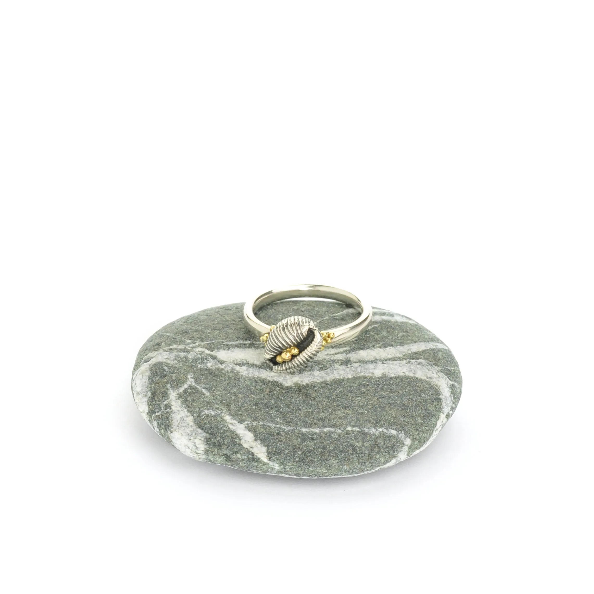 Cowrie Ring, Oxidised Silver (with 18ct Gold grains)