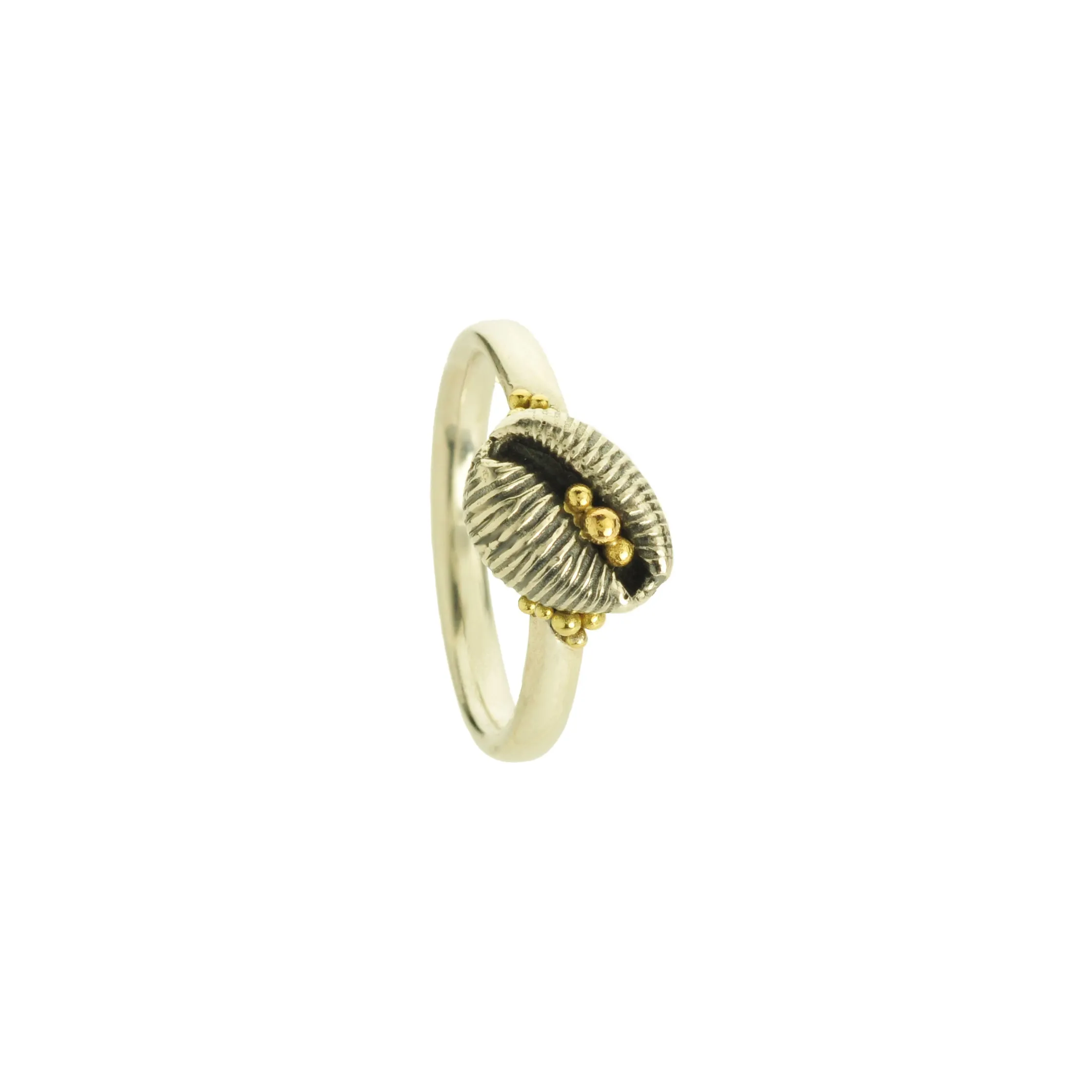 Cowrie Ring, Oxidised Silver (with 18ct Gold grains)