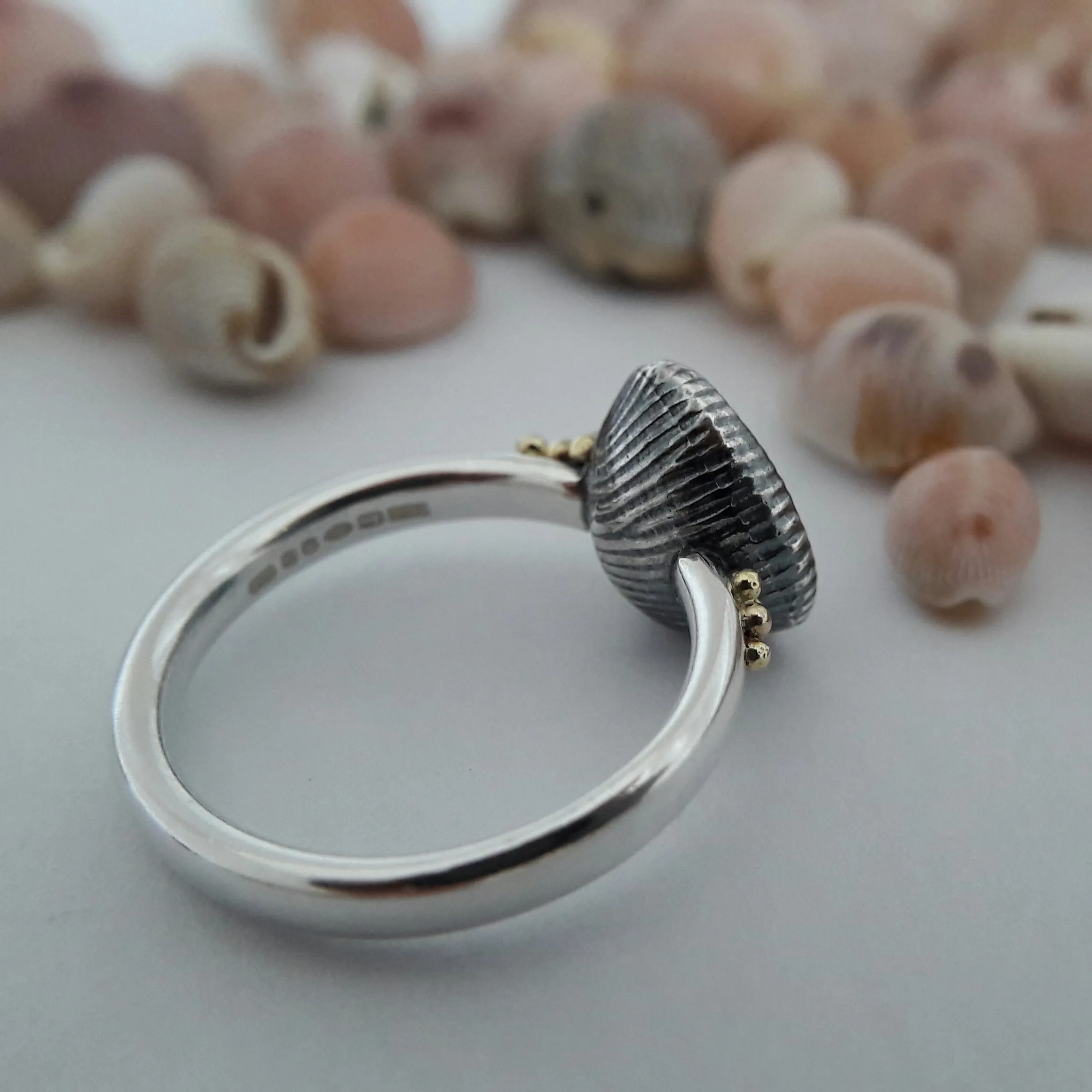 Cowrie Ring, Oxidised Silver (with 18ct Gold grains)