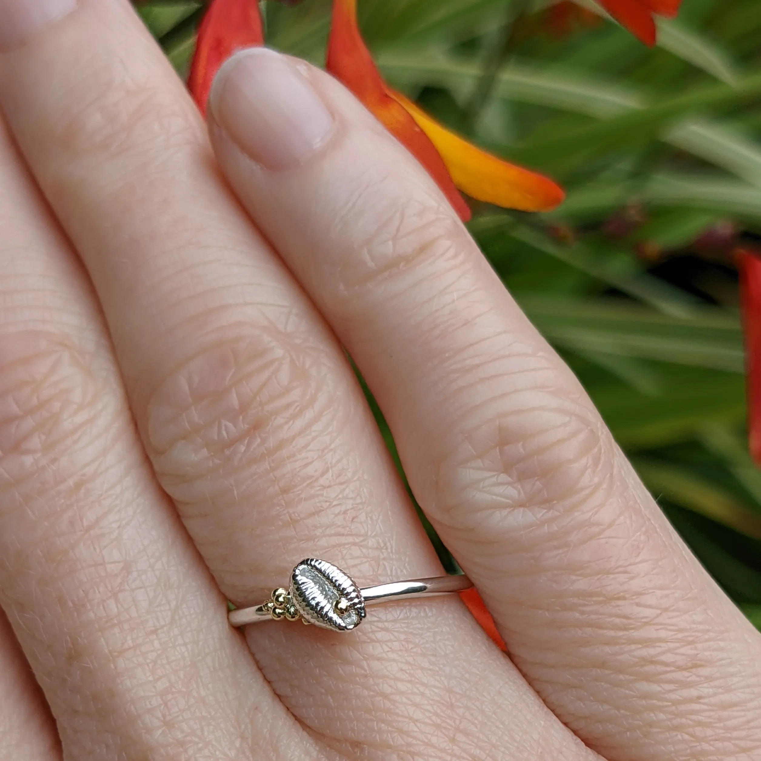 Cowrie Ring with Tiny Single shell, Silver with cluster of 18ct gold sand grains