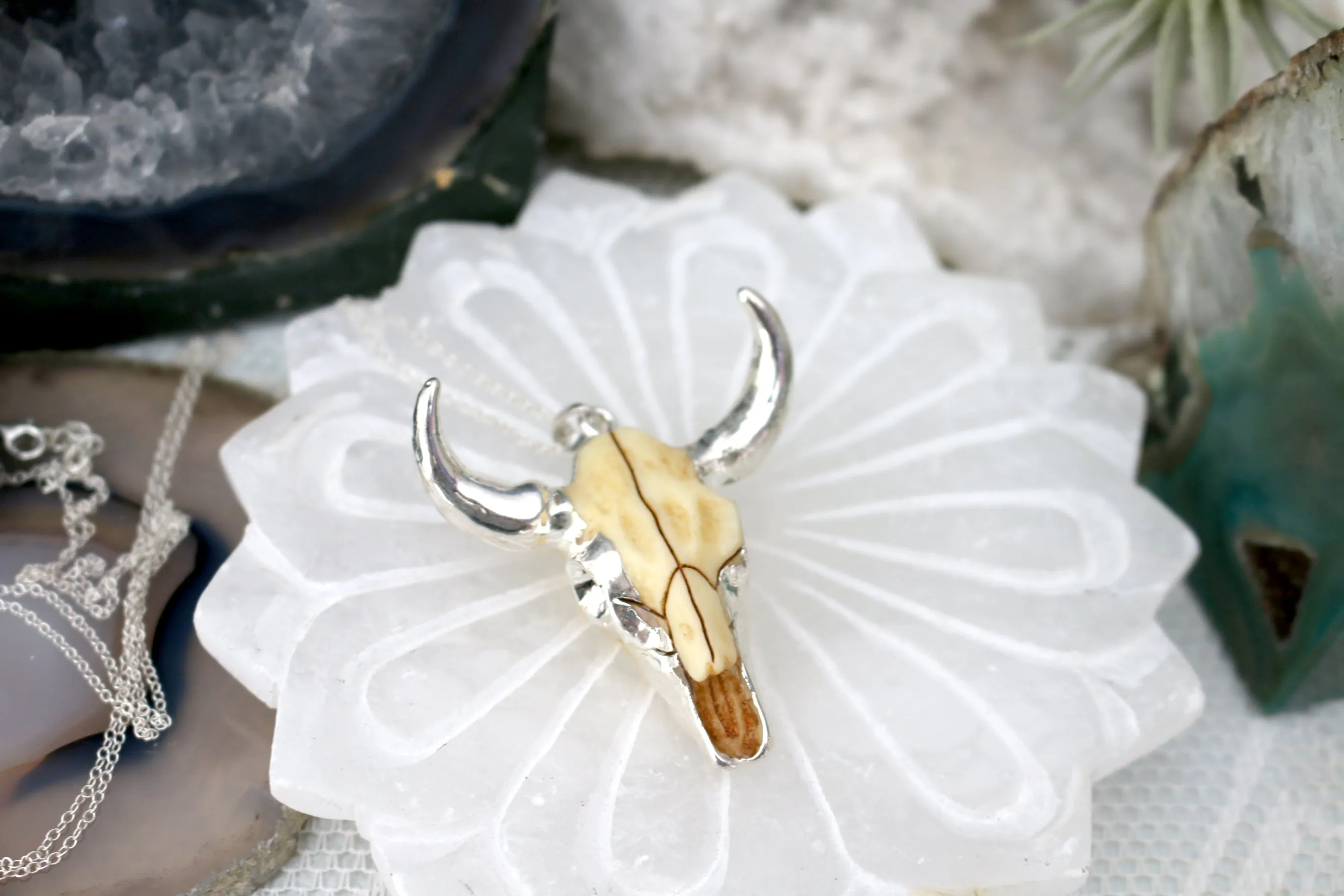 Hooked // Large Cattle Head Necklace, Gold, Sterling Silver, Rose Gold, Texan Jewelry // BH-N020